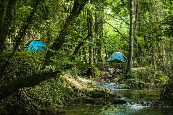Quels sont les meilleurs conseils pour un camping en forêt dense en automne?